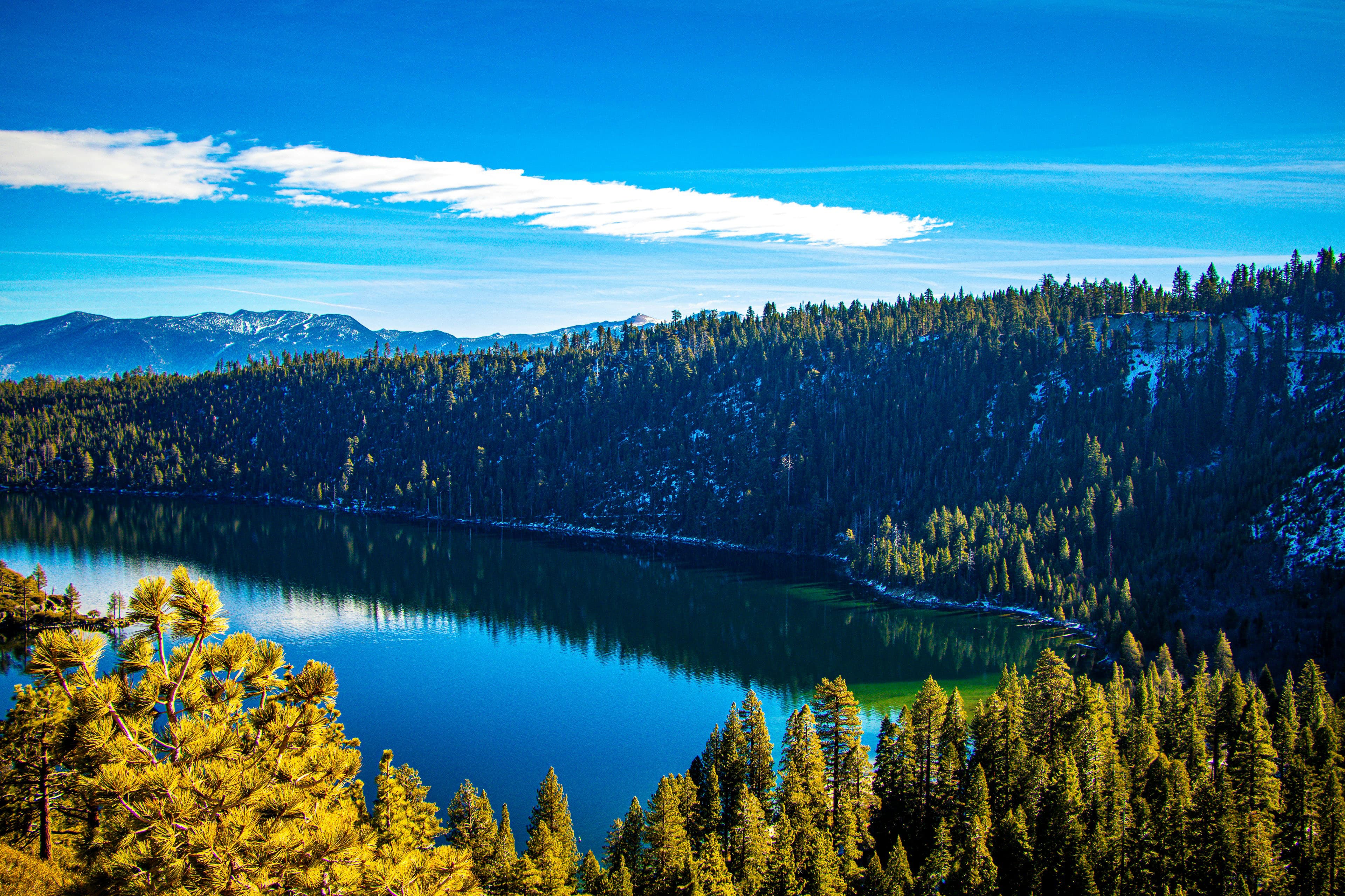 big bear_header